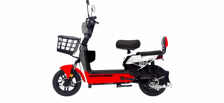 artworkbike-E-tabibitho-gamma-grey